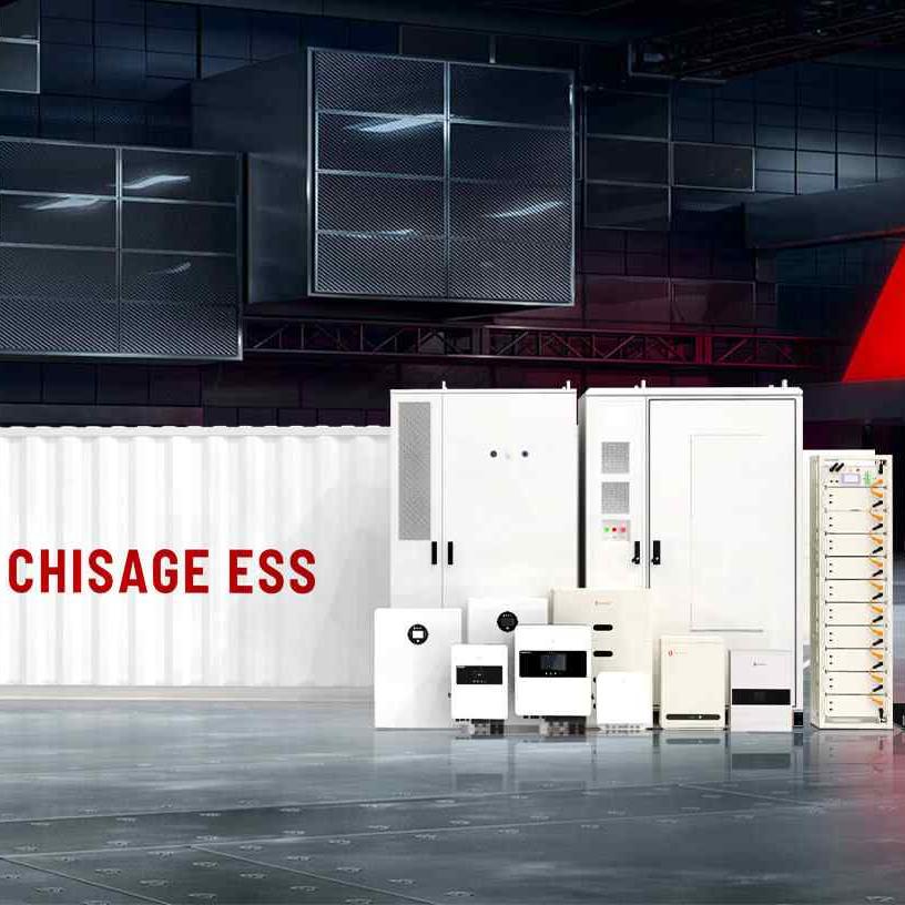 Who is the CHISAGE group?